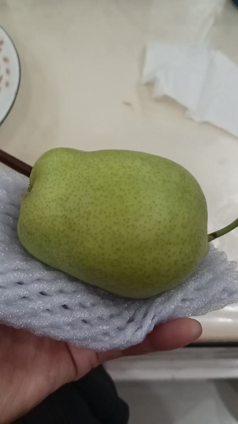 酥梨