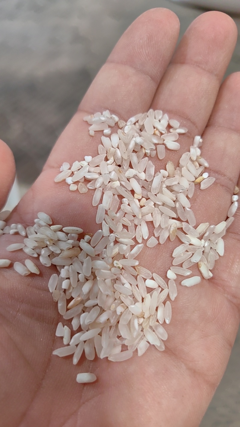 粉米，早米，食堂米