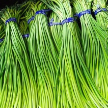山东金乡蒜薹红帽蒜苔代收代存常年供货产地直发大量现货代发