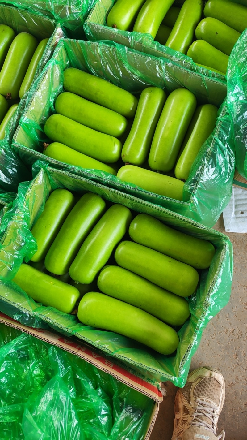精品户瓜