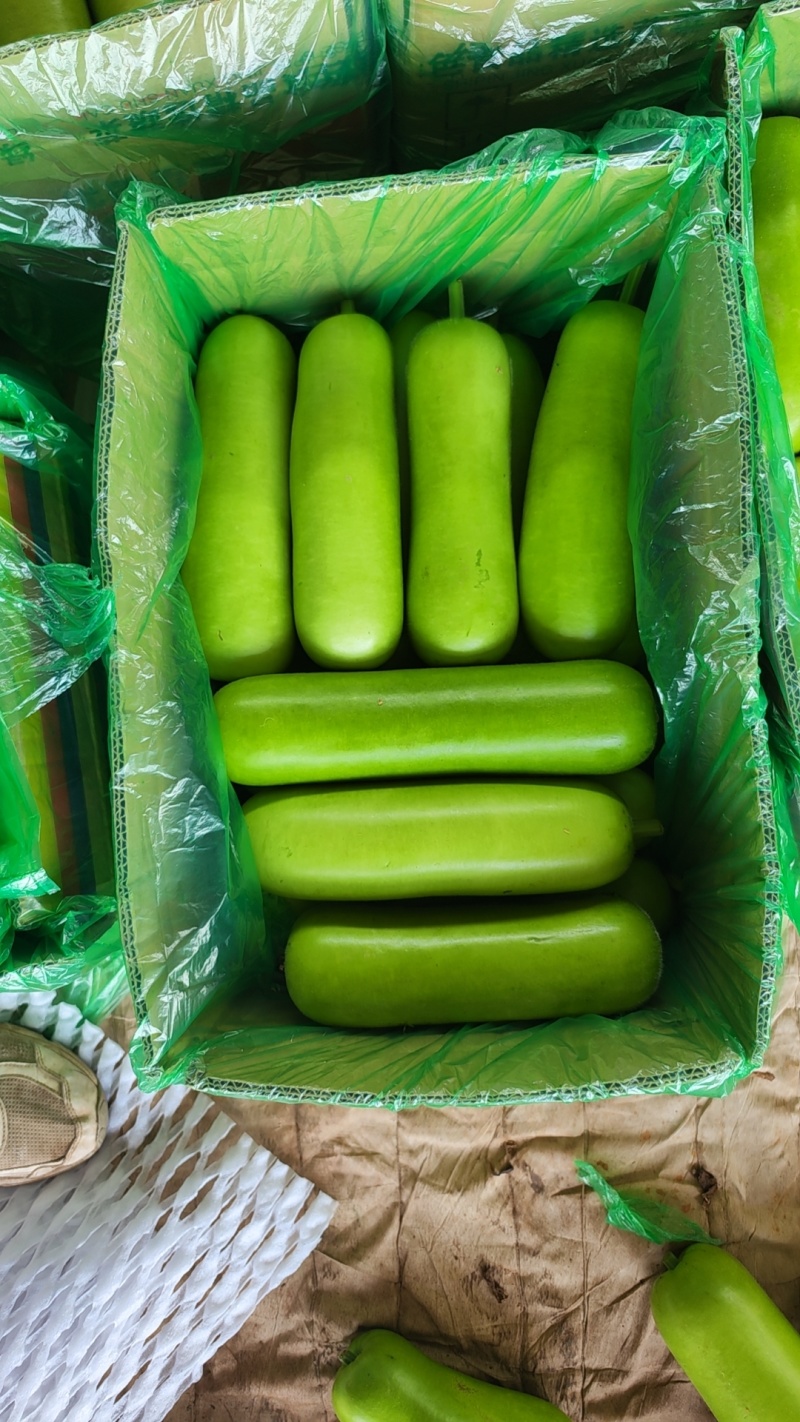 精品户瓜