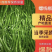 【今日推荐】陕西螺线椒线椒产地直发品质保证