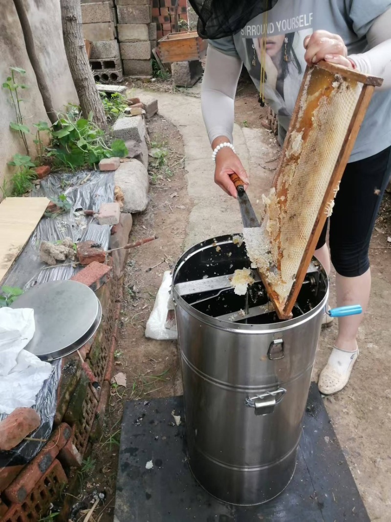 精品蜂蜜土蜂蜜批发价低品质保证可提供礼盒包装