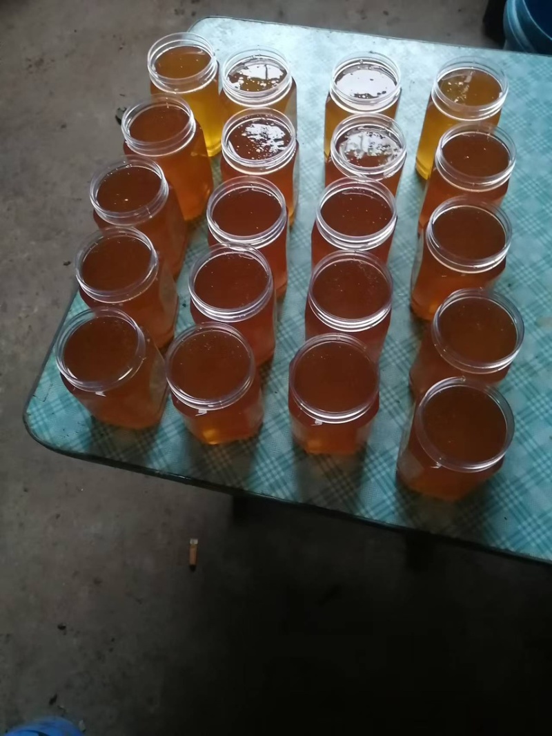 精品蜂蜜土蜂蜜批发价低品质保证可提供礼盒包装