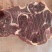 满肉牛脖骨精品满肉牛脖骨量大从优欢迎各地客商洽谈合作