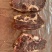 满肉牛脖骨精品满肉牛脖骨量大从优欢迎各地客商洽谈合作