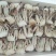 梭子蟹，切蟹