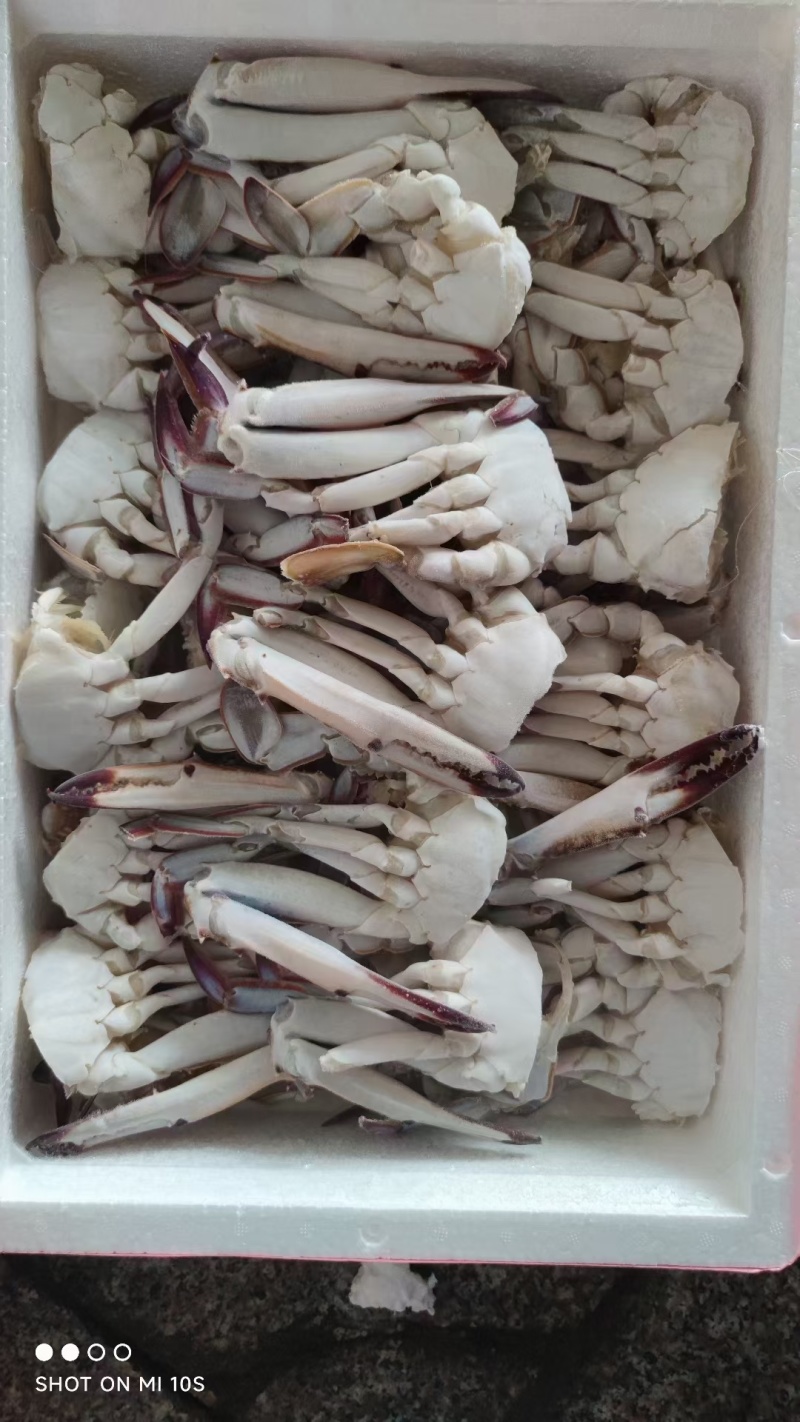 梭子蟹，切蟹