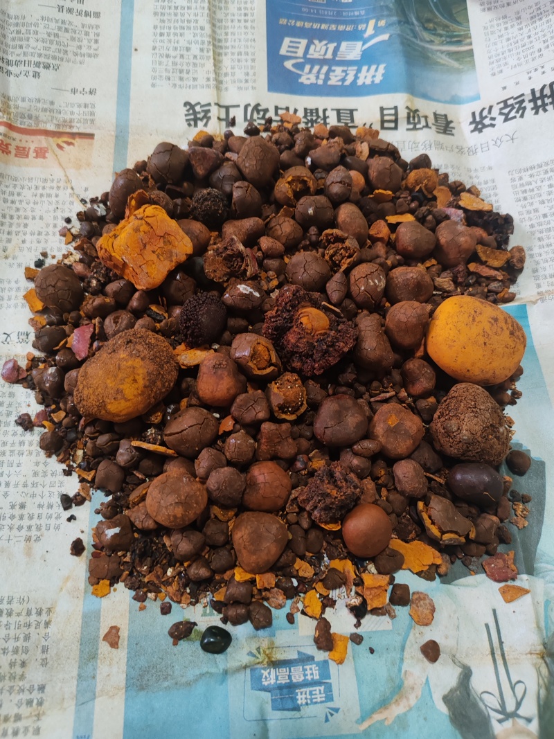 天然牛黄