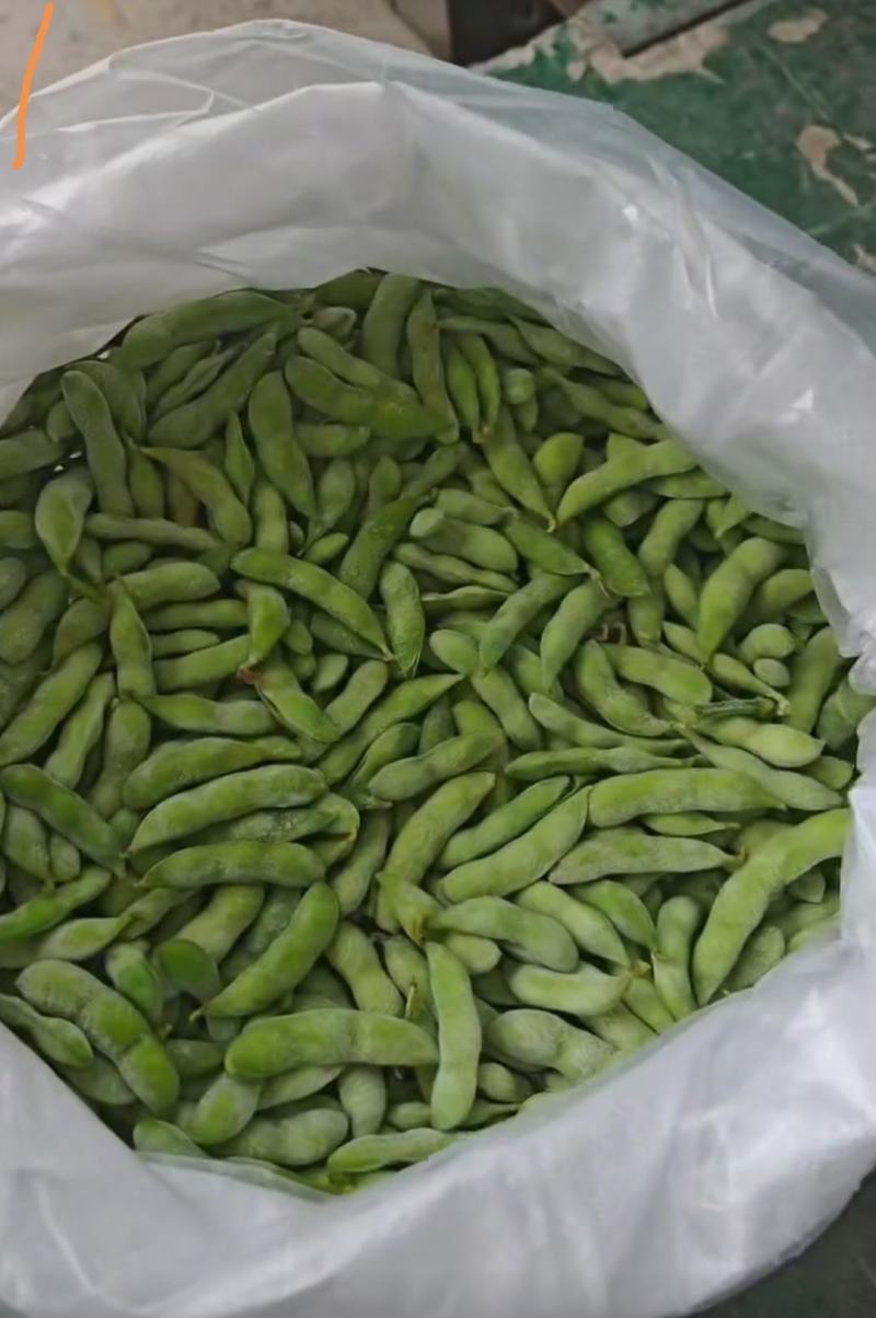毛豆熟毛豆精品毛豆源头厂家批发质量杠杠的