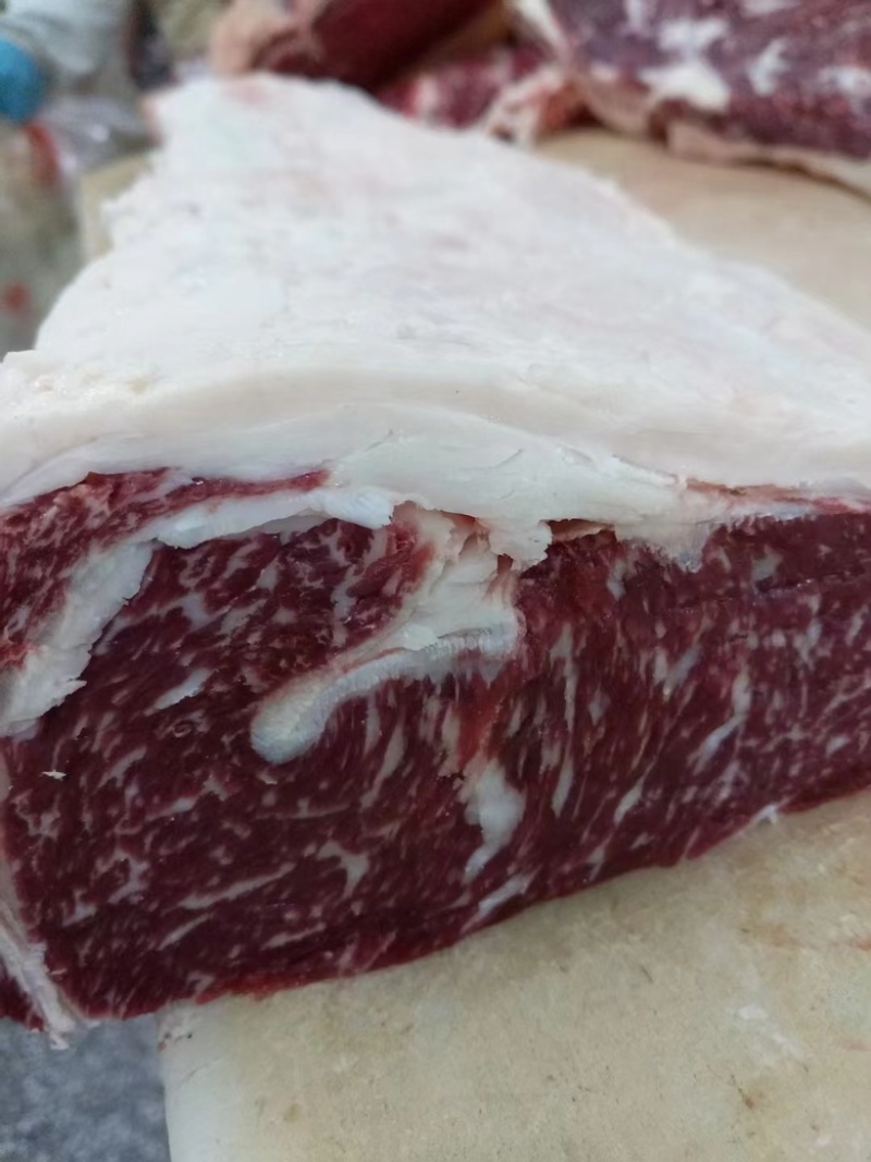 山东精品鲁西黄牛肉大量有货质量保证价格优惠欢迎咨询！