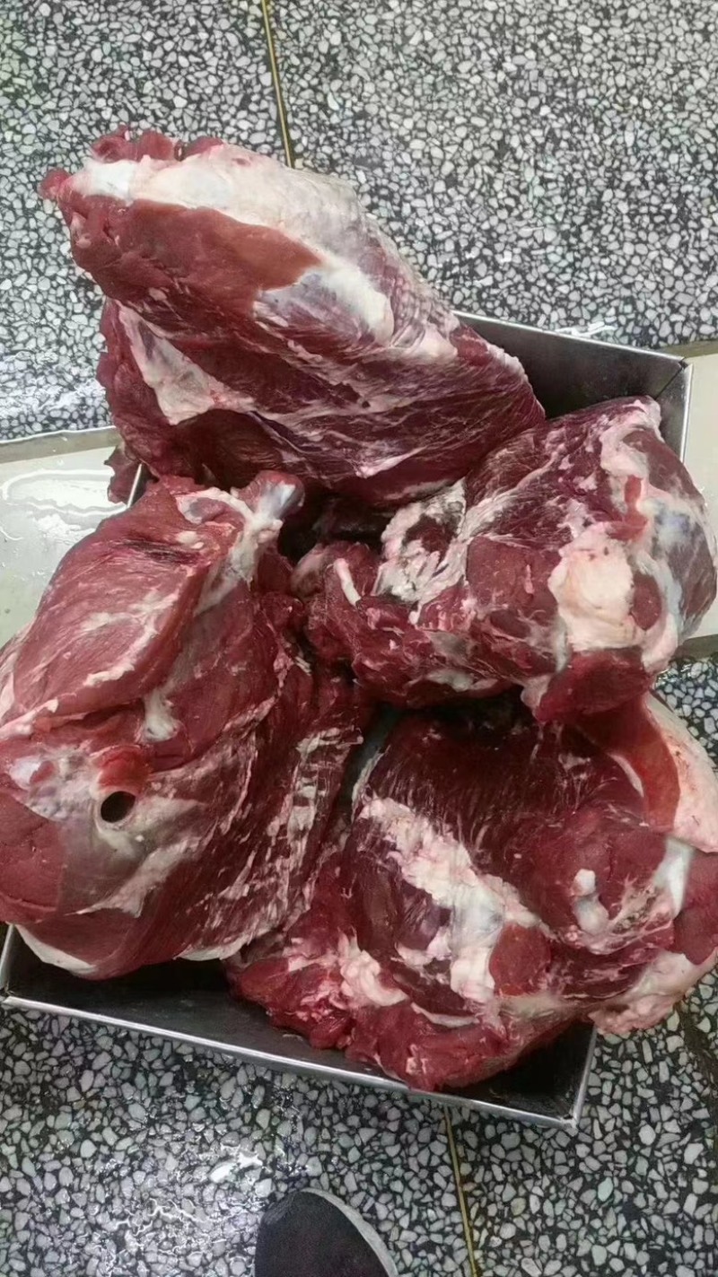 山东精品鲁西黄牛肉大量有货质量保证价格优惠欢迎咨询！