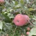 红将军🍎大量上市中