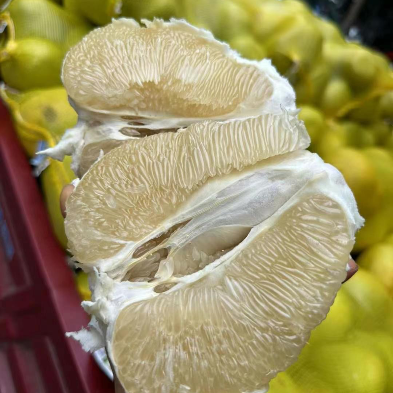 柚子