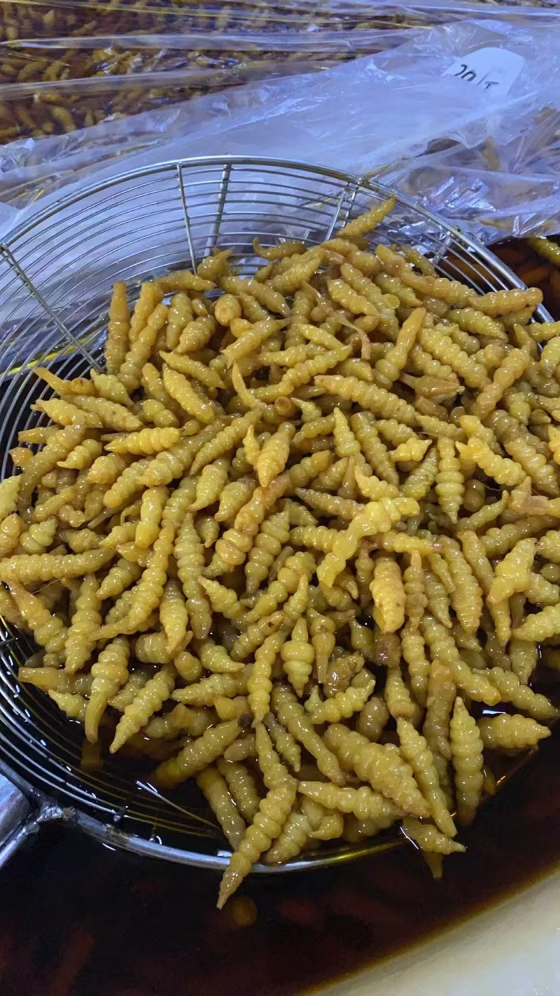 大量供应腌渍的宝塔菜半成品