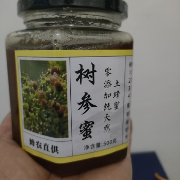 土蜂蜜！树参蜜！