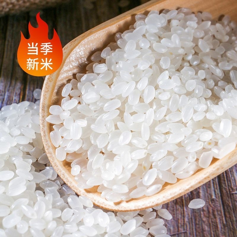 【东北珍珠米】食分碗美寒地圆粒大米黑土种植欢迎联系