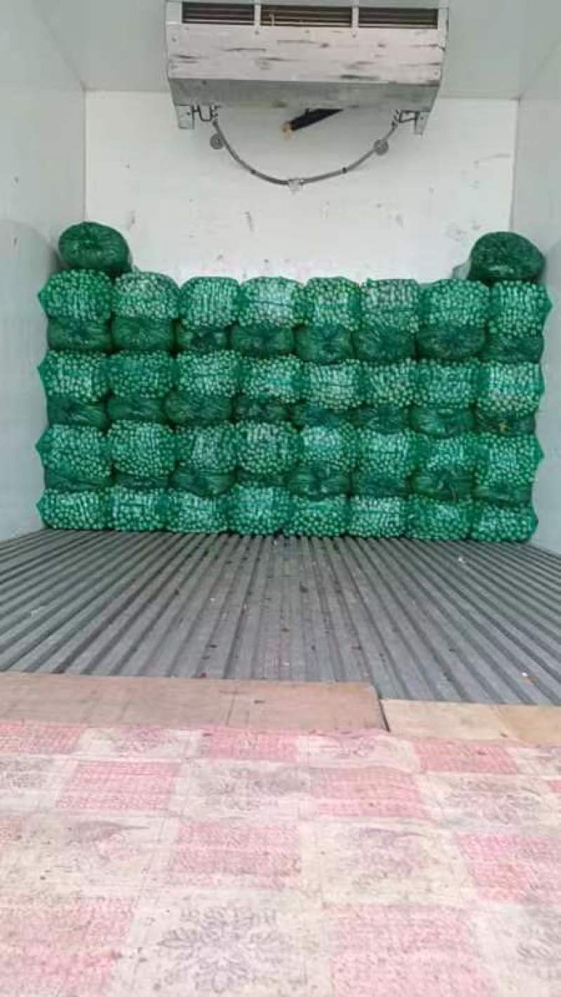 商河县五指芹菜，小细棵
