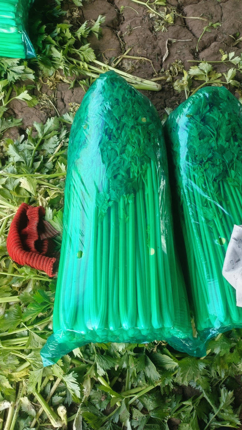 商河县五指芹菜，小细棵
