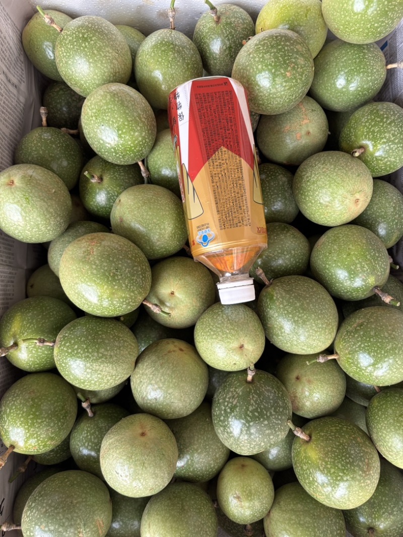 黄金百香果｜钦蜜9号百香果