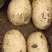 土豆