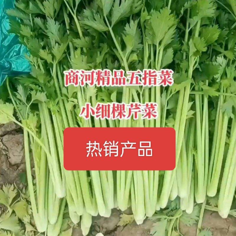 商河县五指芹菜，小细棵