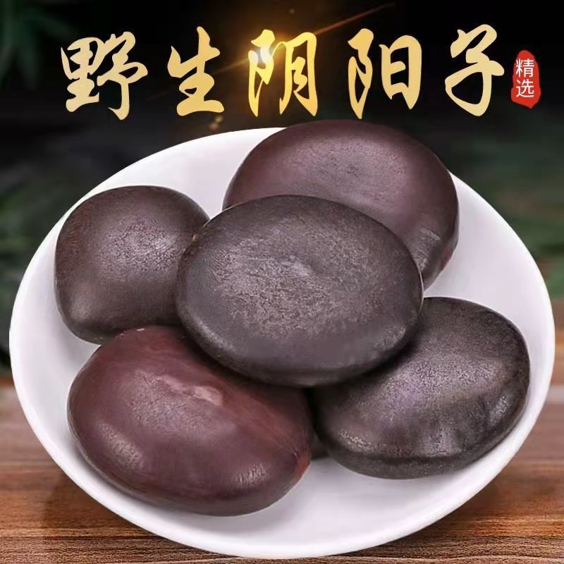 广西野生阴阳子男性传统滋补泡酒料补阳温肾野生中药材木腰子