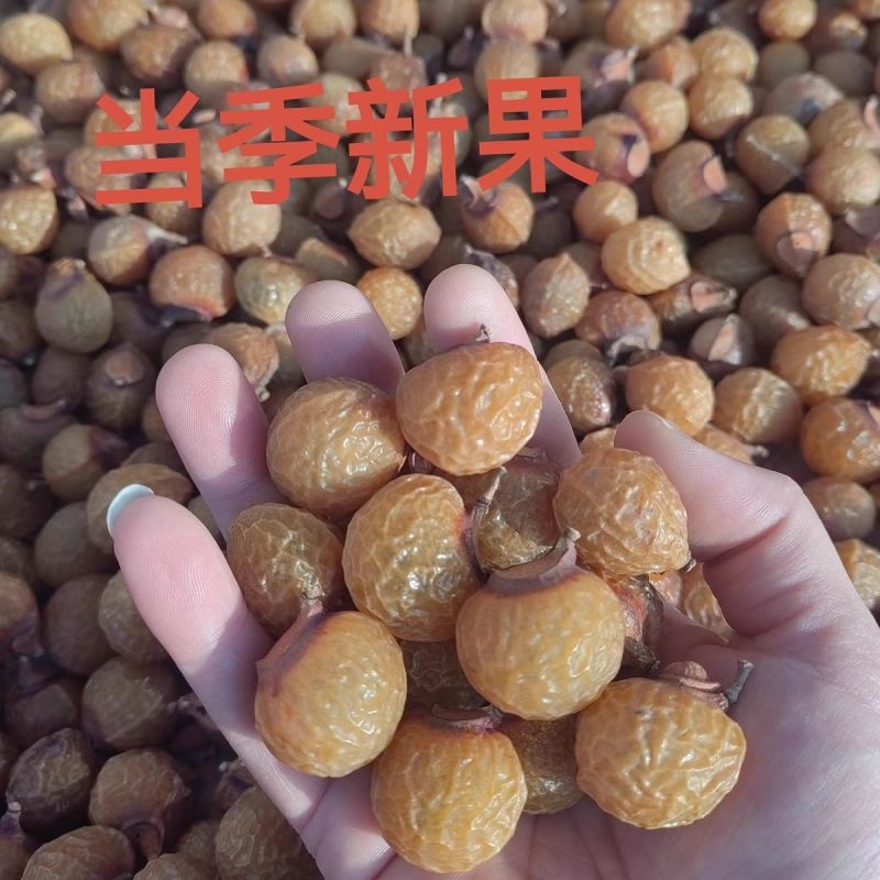 农家新货无患子无硫洗发酵素无患子大果洗手果袋装