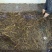 精品进口黄鳝，孟加拉黄鳝大量供应。货源充足，量大从优。