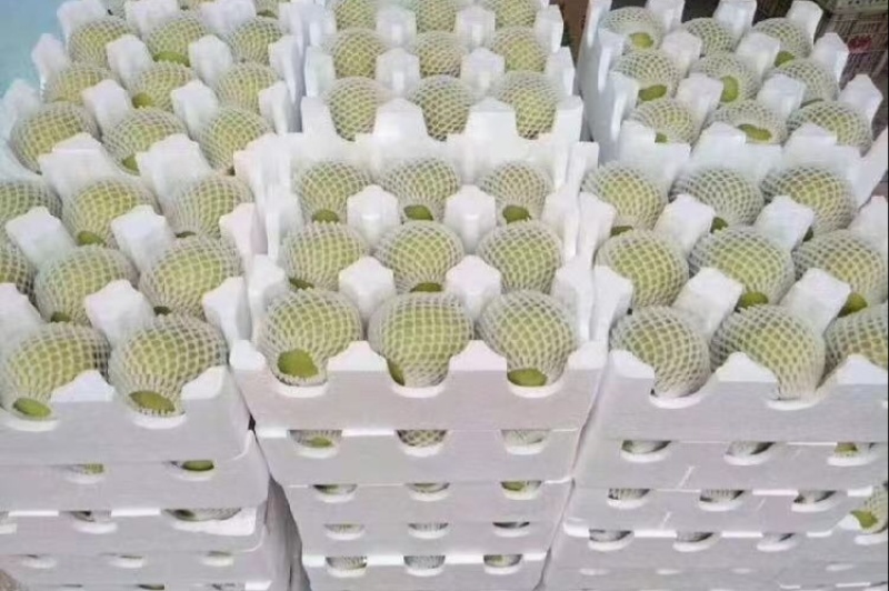 【推荐】河北皇冠梨供应市场商超电商量大价优
