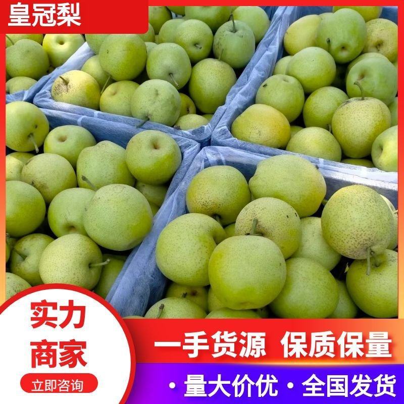 【推荐】河北皇冠梨供应市场商超电商量大价优
