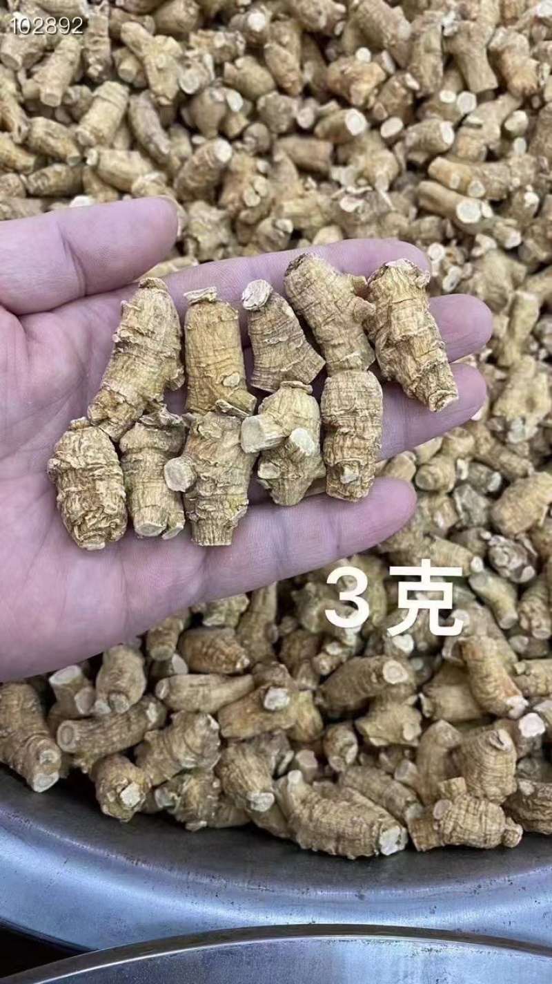 西洋参【高品质】正宗长白山特产