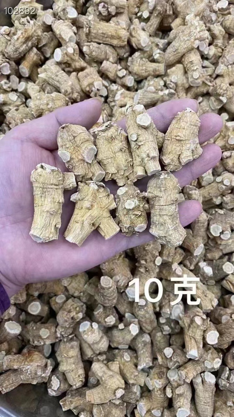 西洋参【高品质】正宗长白山特产
