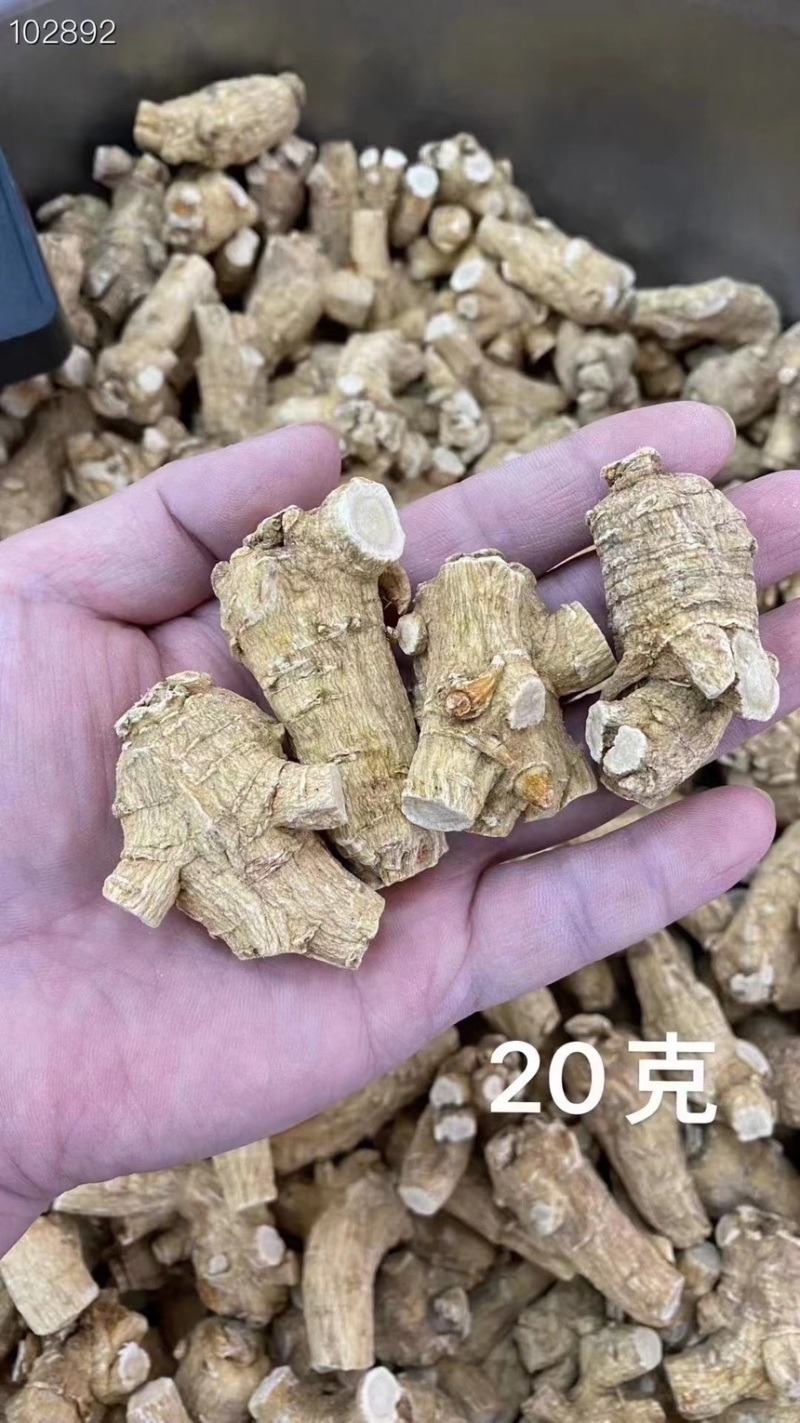 西洋参【高品质】正宗长白山特产