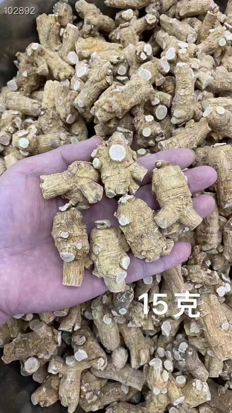 西洋参【高品质】正宗长白山特产