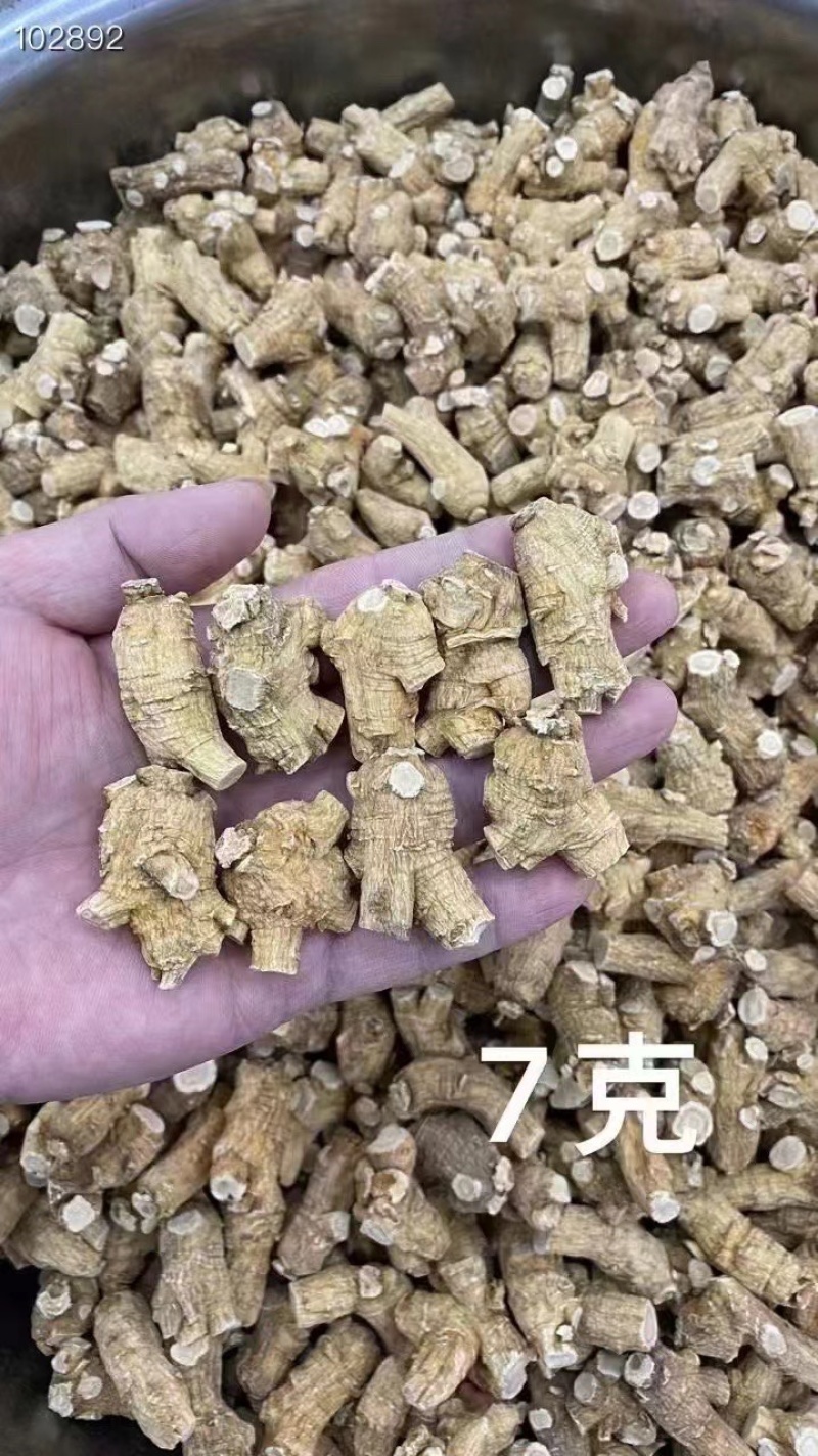 西洋参【高品质】正宗长白山特产