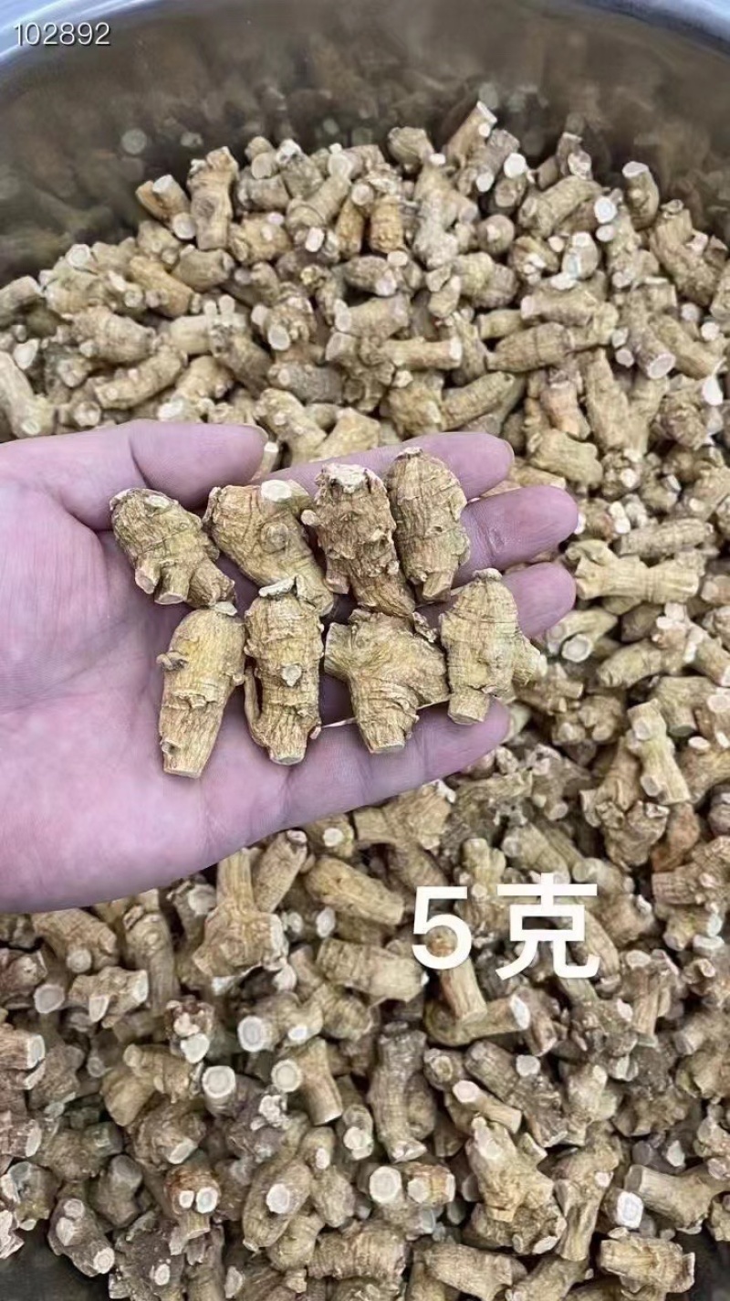 西洋参【高品质】正宗长白山特产