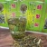 【螃蟹脚】一手货源量大从优500g一袋