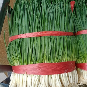 云南小葱大量有货