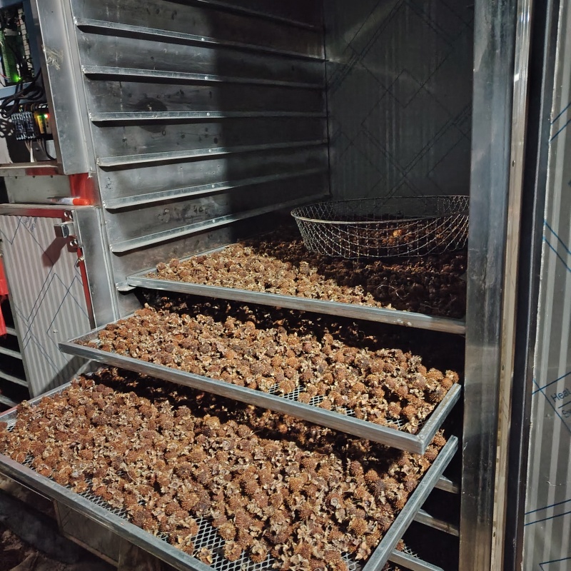 2024年贵州刺梨干，烘干机烘干，保留原有的营养物质
