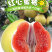 宜昌红柚大量上市套袋光果各种规格代办一条龙