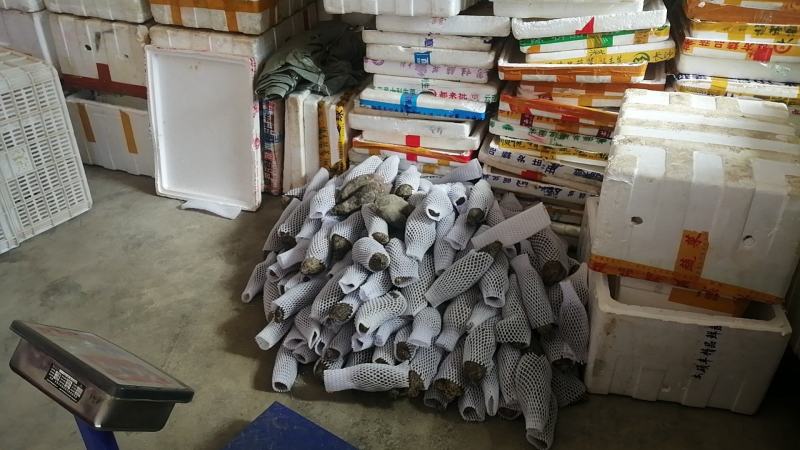 三百山紫山药一件代发，自产自销，农肥种植，欢迎您的咨询
