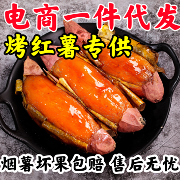 【包邮】一件代发山东烟薯25糖心红薯品质保证欢迎下单