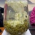 1斤新茶浓香型花茶茉莉花茶茉莉飘雪高山绿茶