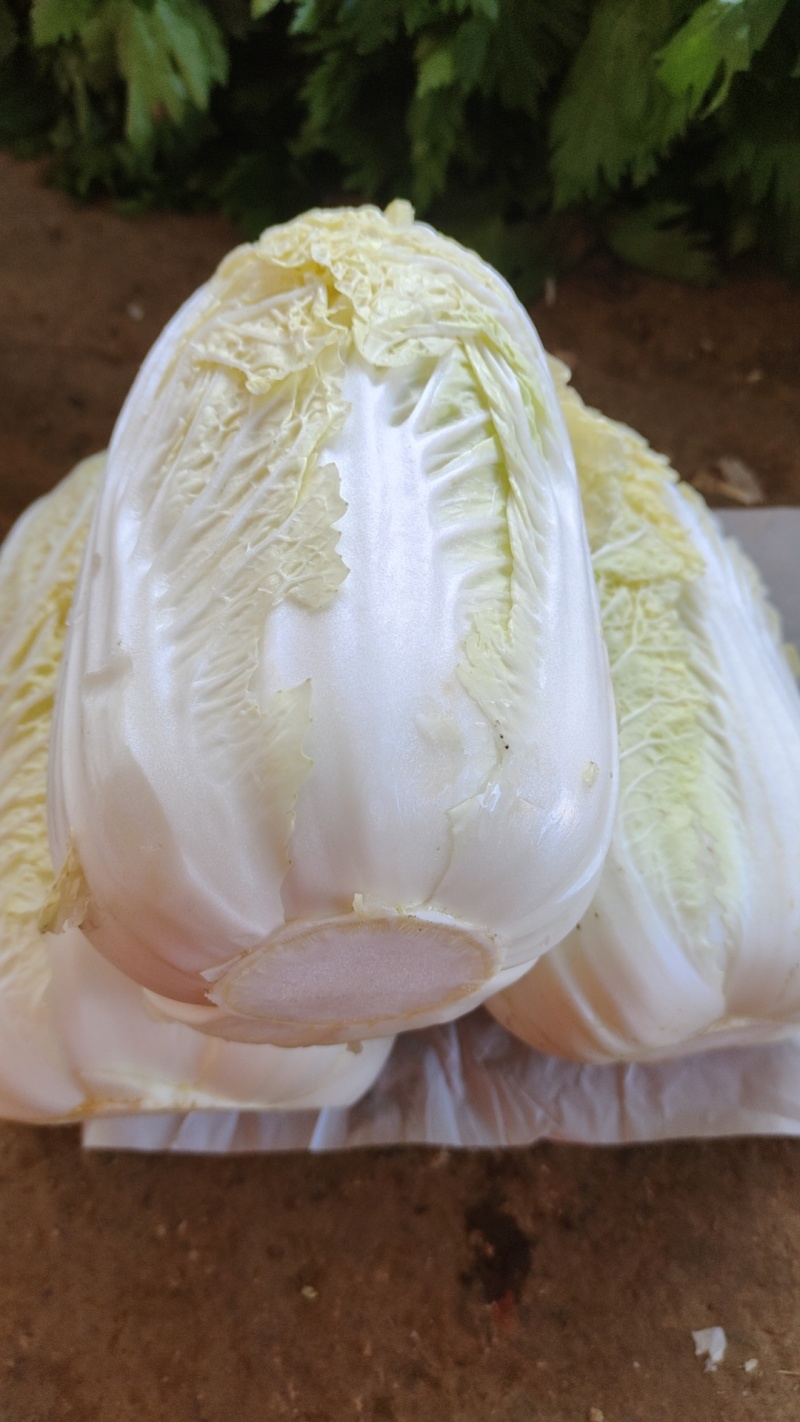 好货