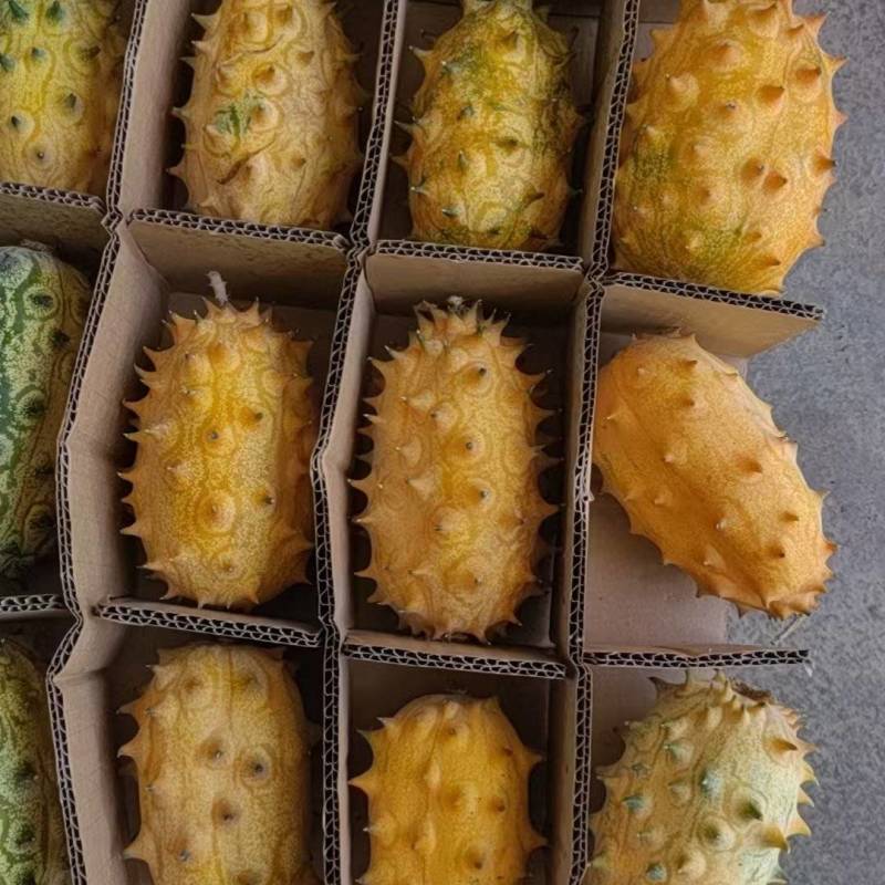 火参果