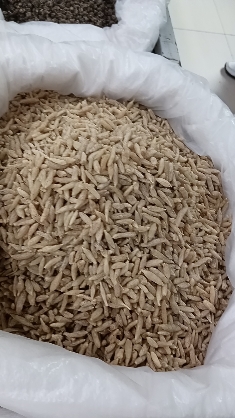 麦冬