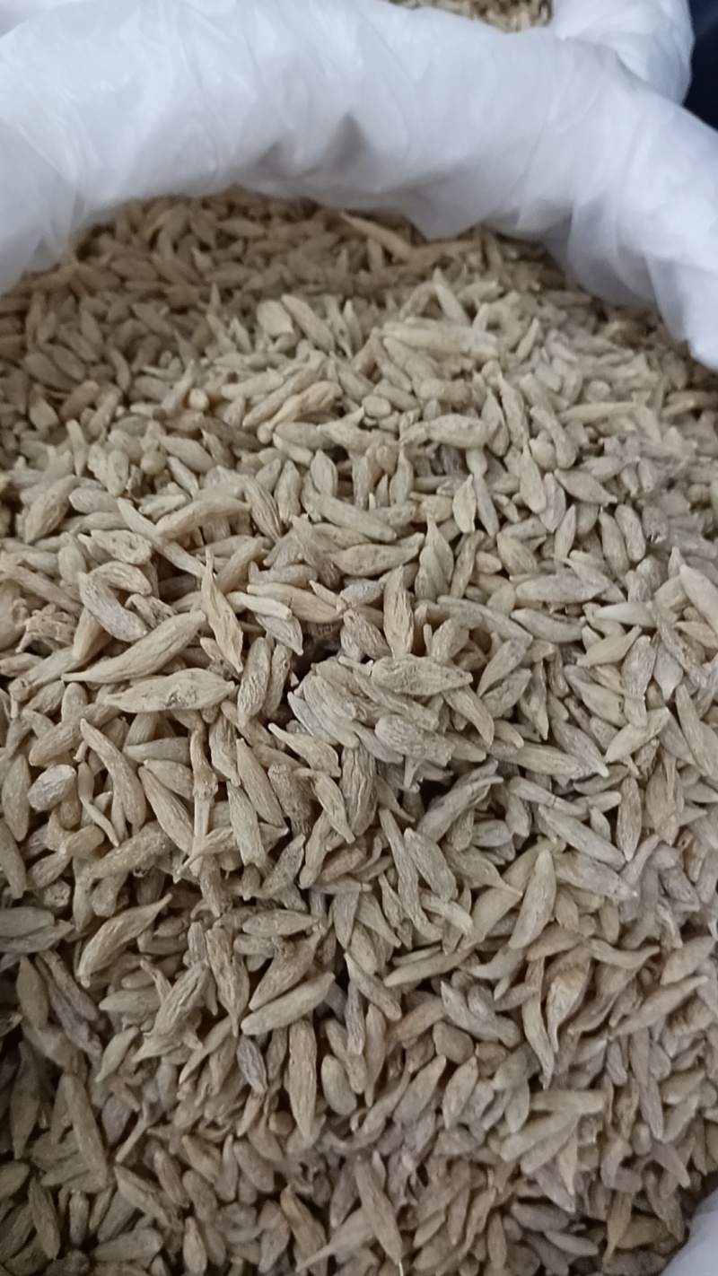 麦冬