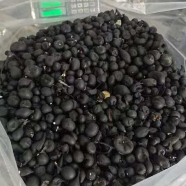 乌灵参空心货
