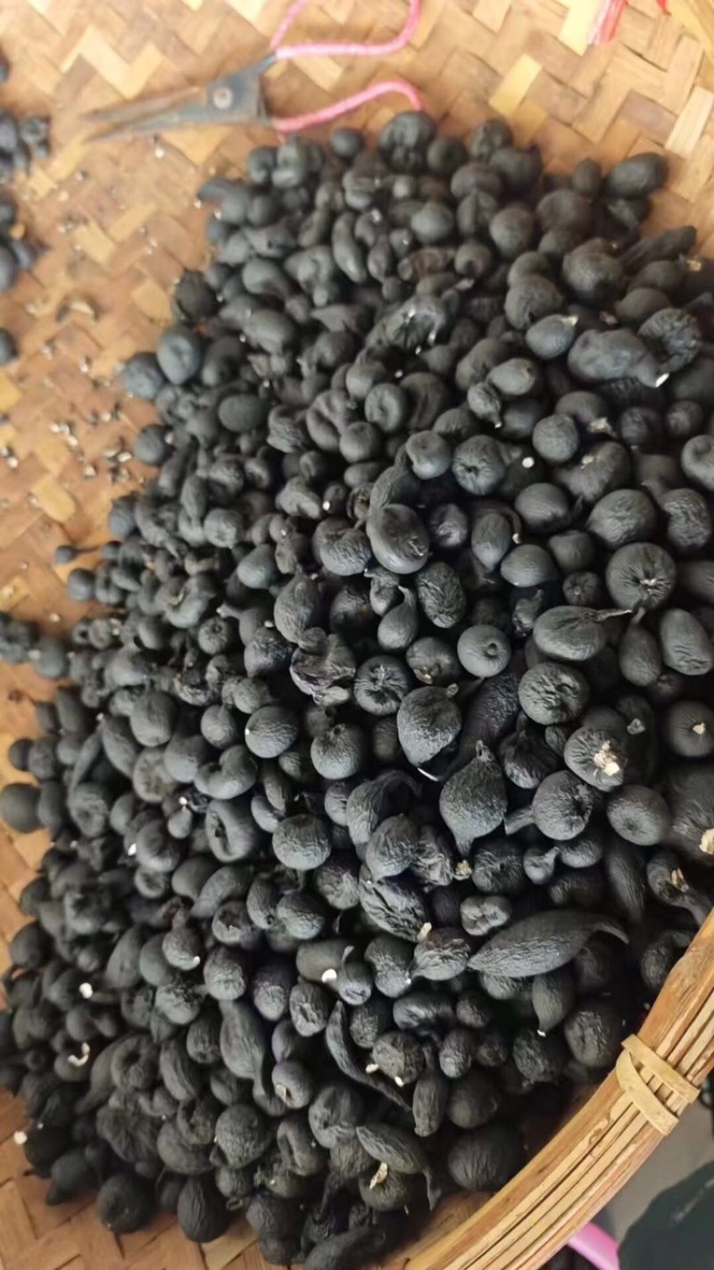 乌灵参空心货